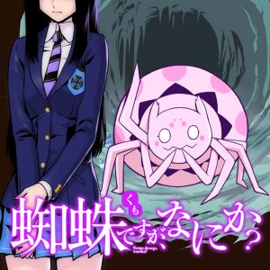 Kumo Desu ga, Nani ka?
