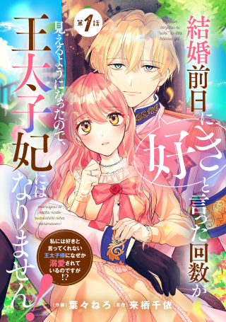 Kekkon Zenjitsu ni Suki to Ita Kaisuu ga Mieru you ni Natta no de, Outaishihi ni wa Narimasen! Kekkon Zenjitsu ni Suki to Ita Kaisuu ga Mieru you ni Natta no de, Outaishihi ni wa Narimasen!