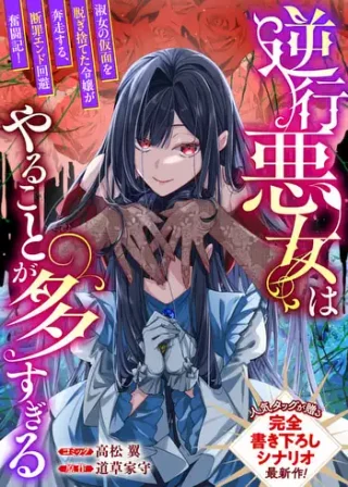 Gyakkou Akujo wa Yarukoto ga Oosugiru